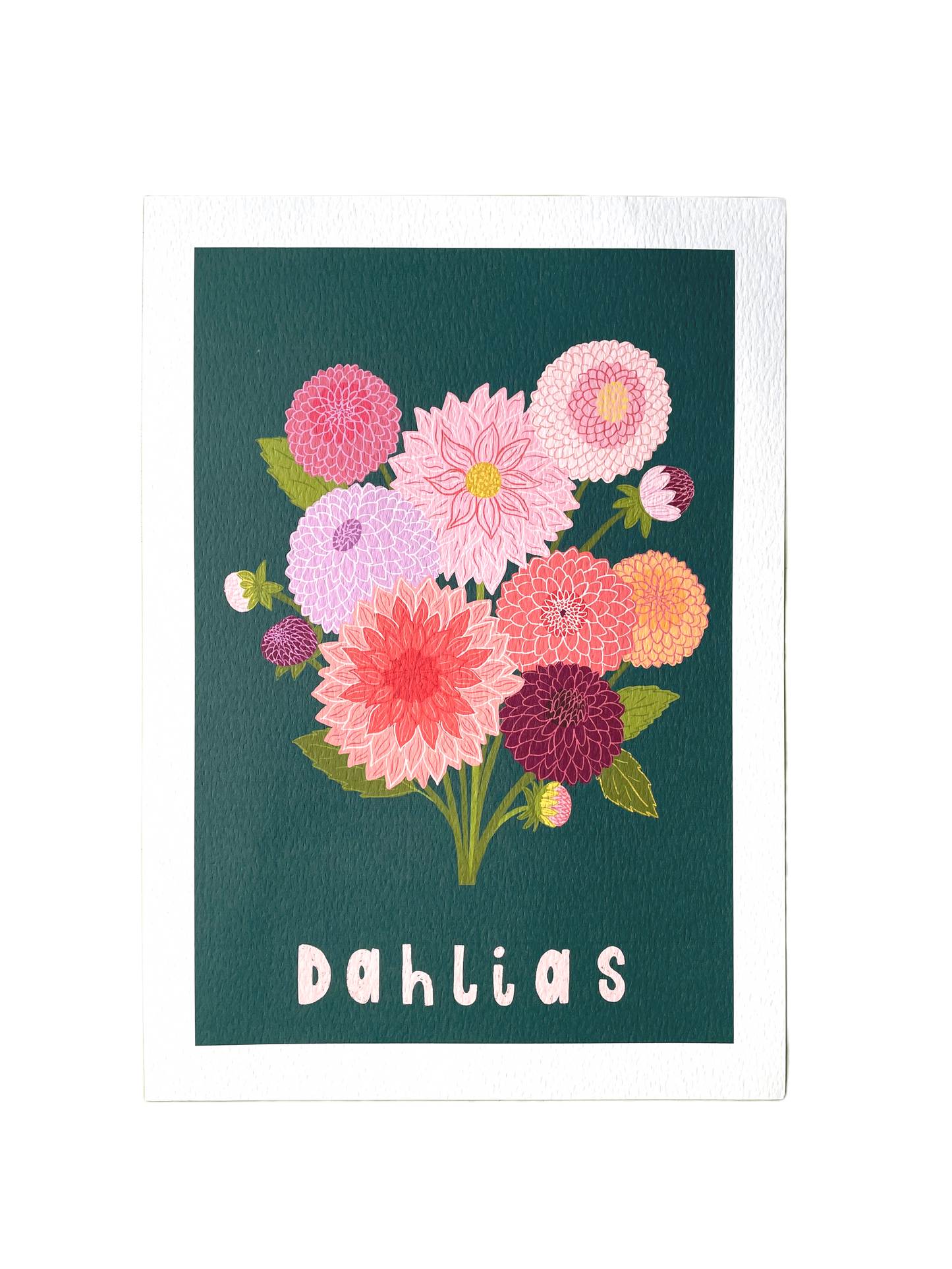 Dahlias Flower Art Print