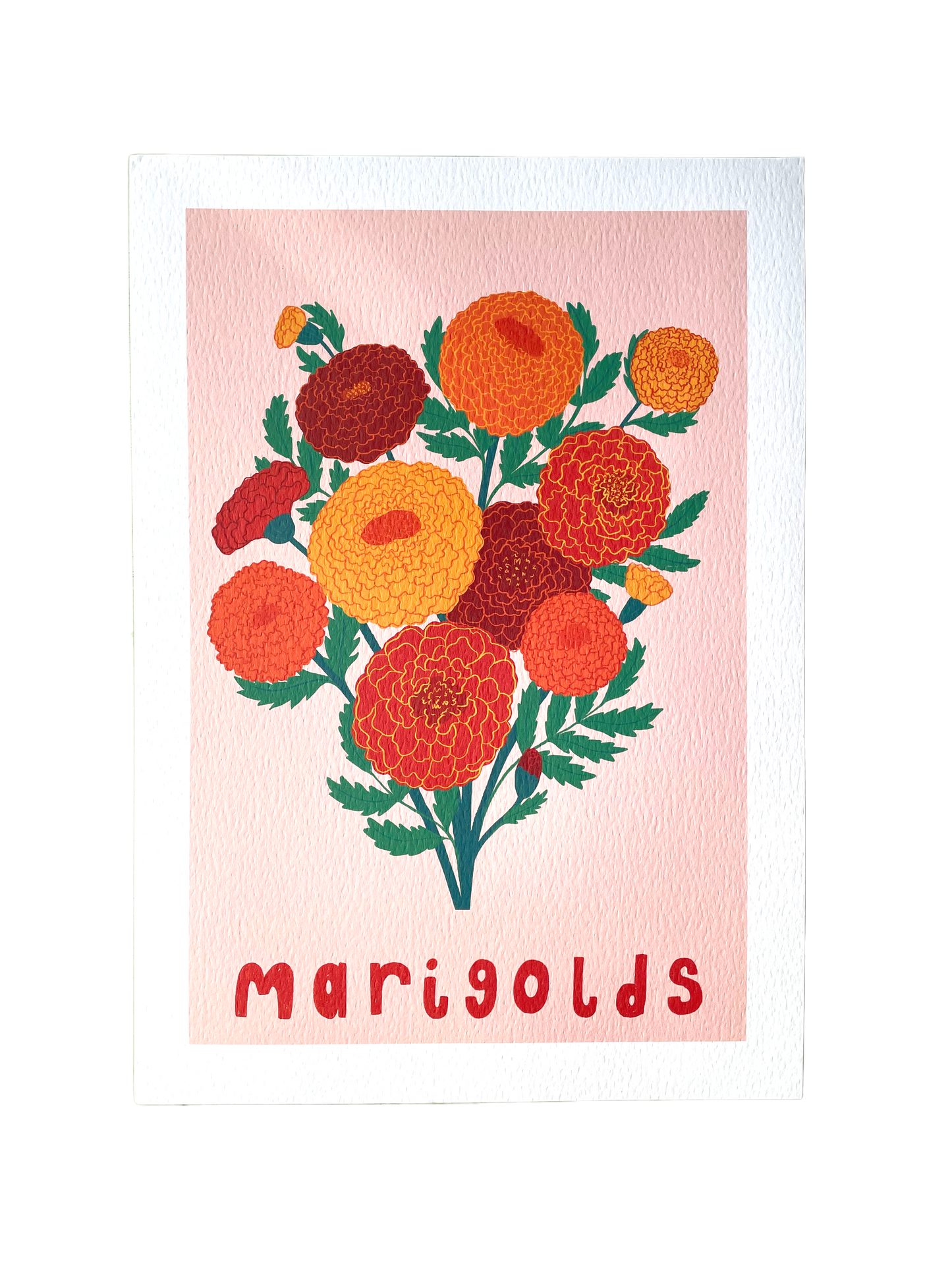 Marigolds Flower Art Print