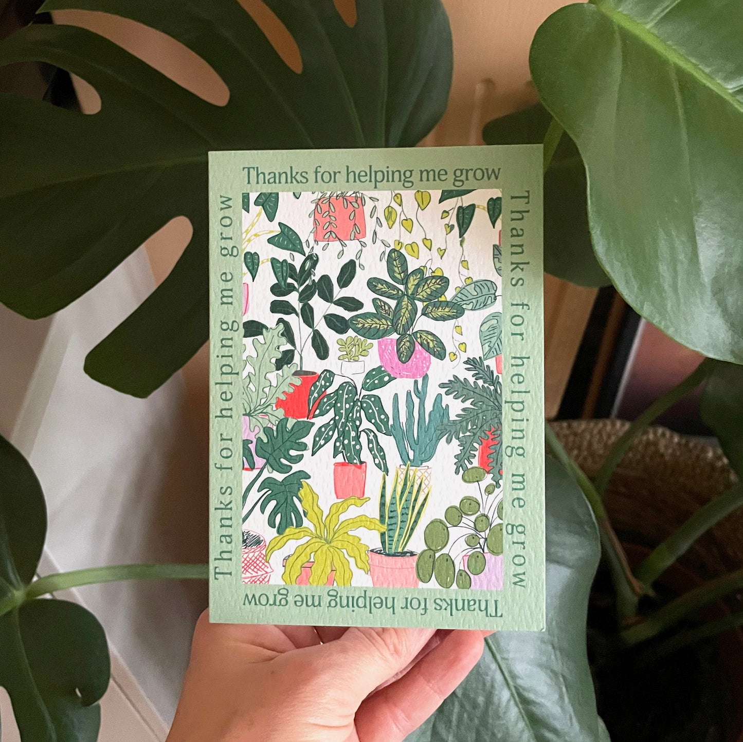 Houseplants Wrapping Paper