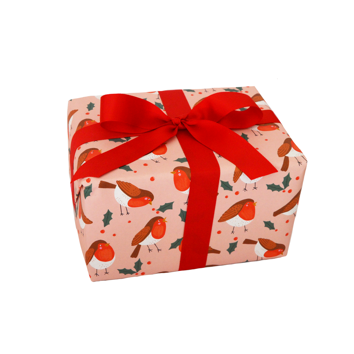 Cute Christmas Robins Wrapping Paper