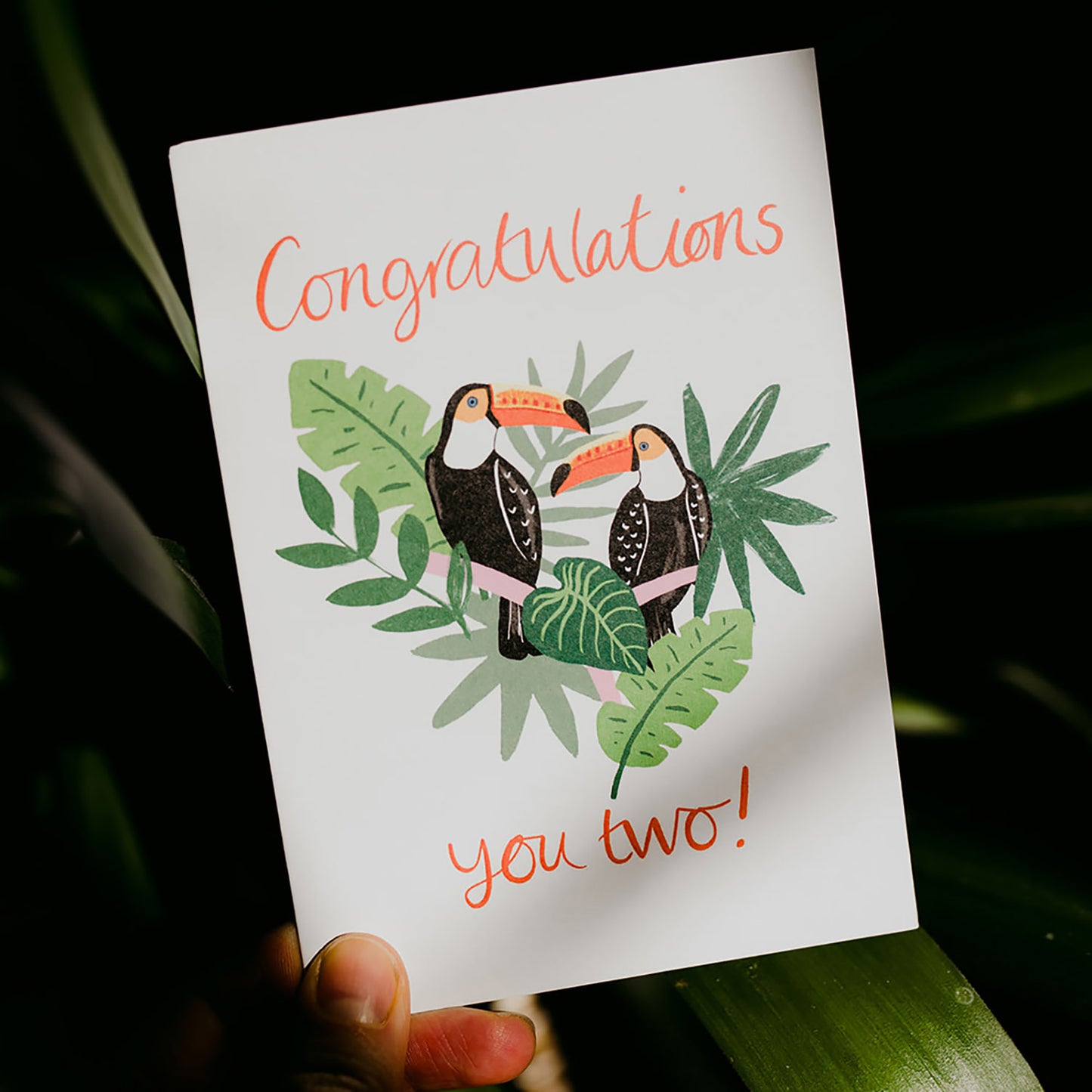 Congratulations you two!' Toucans Card