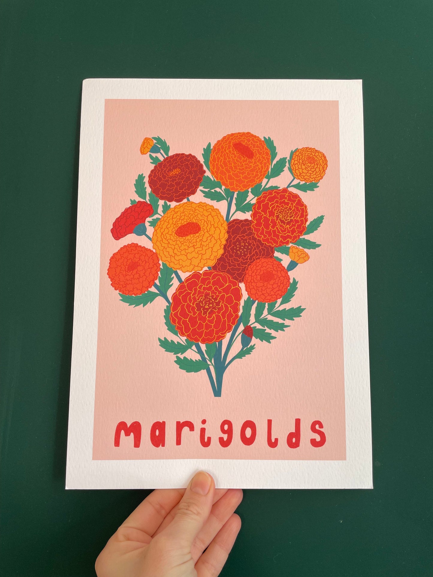 Marigolds Flower Art Print